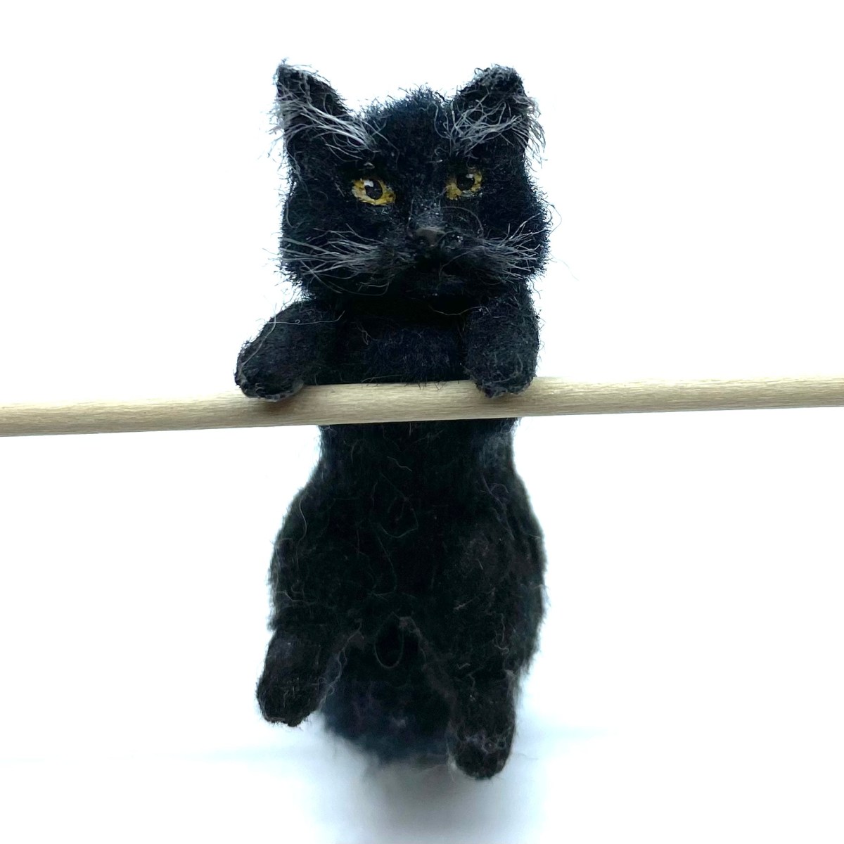 Tom the Kitchen&nbsp;Cat