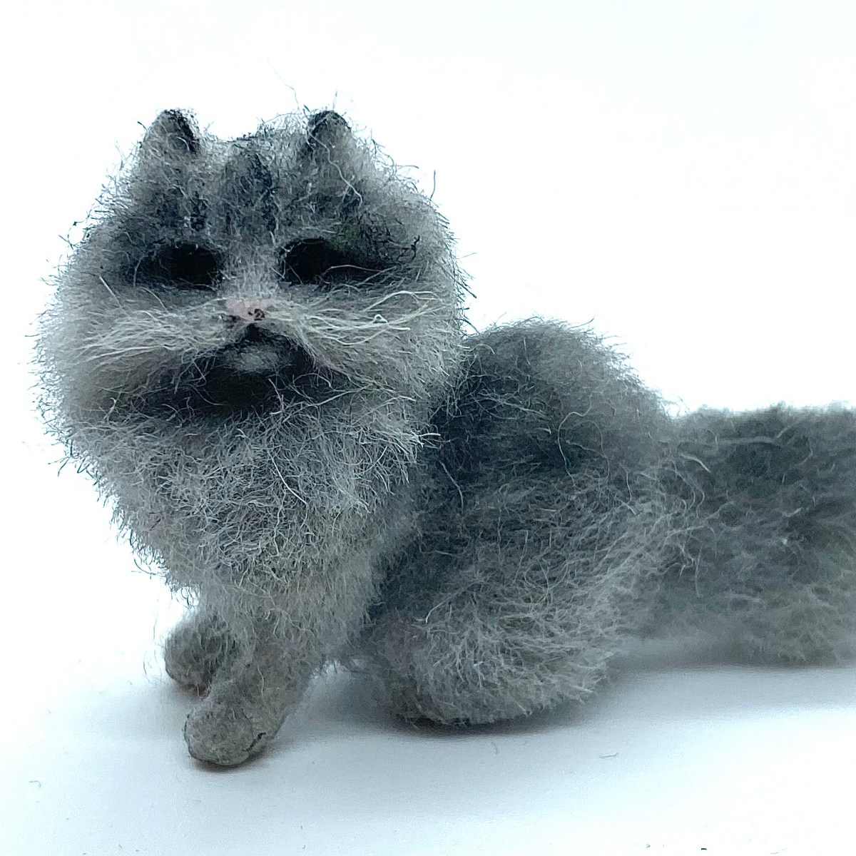 Sheba the Persian&nbsp;Cat