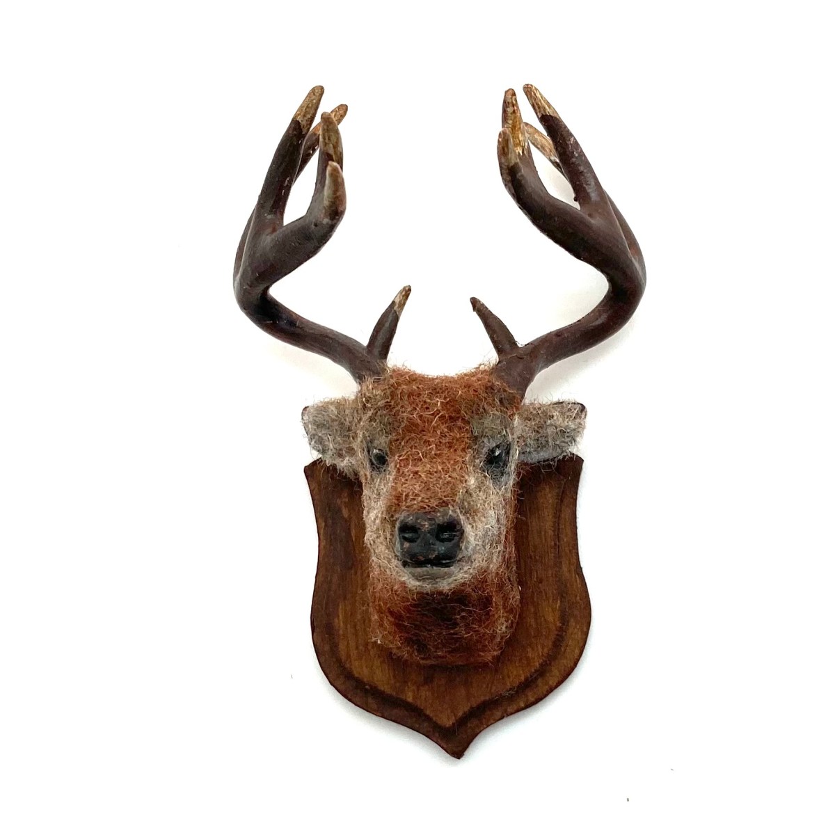 Mounted Stag Head