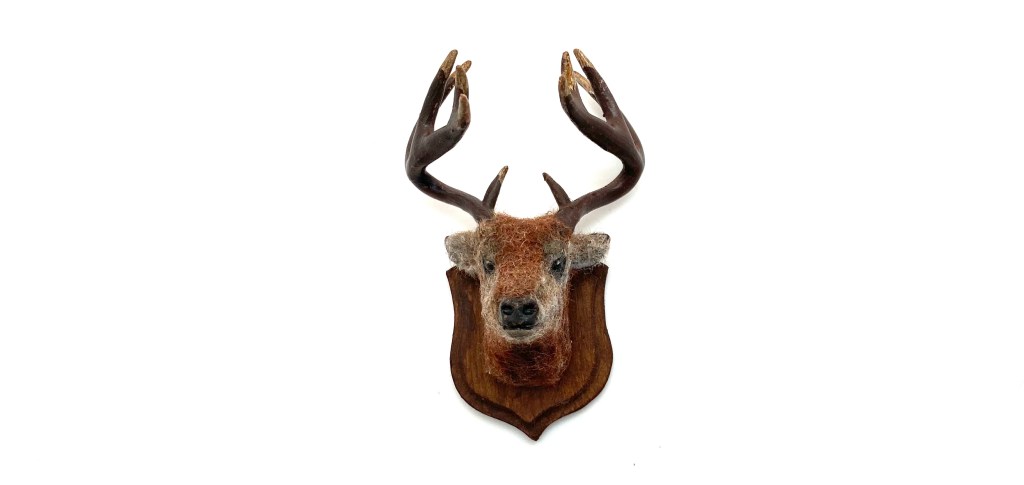 Mounted Stag Head
