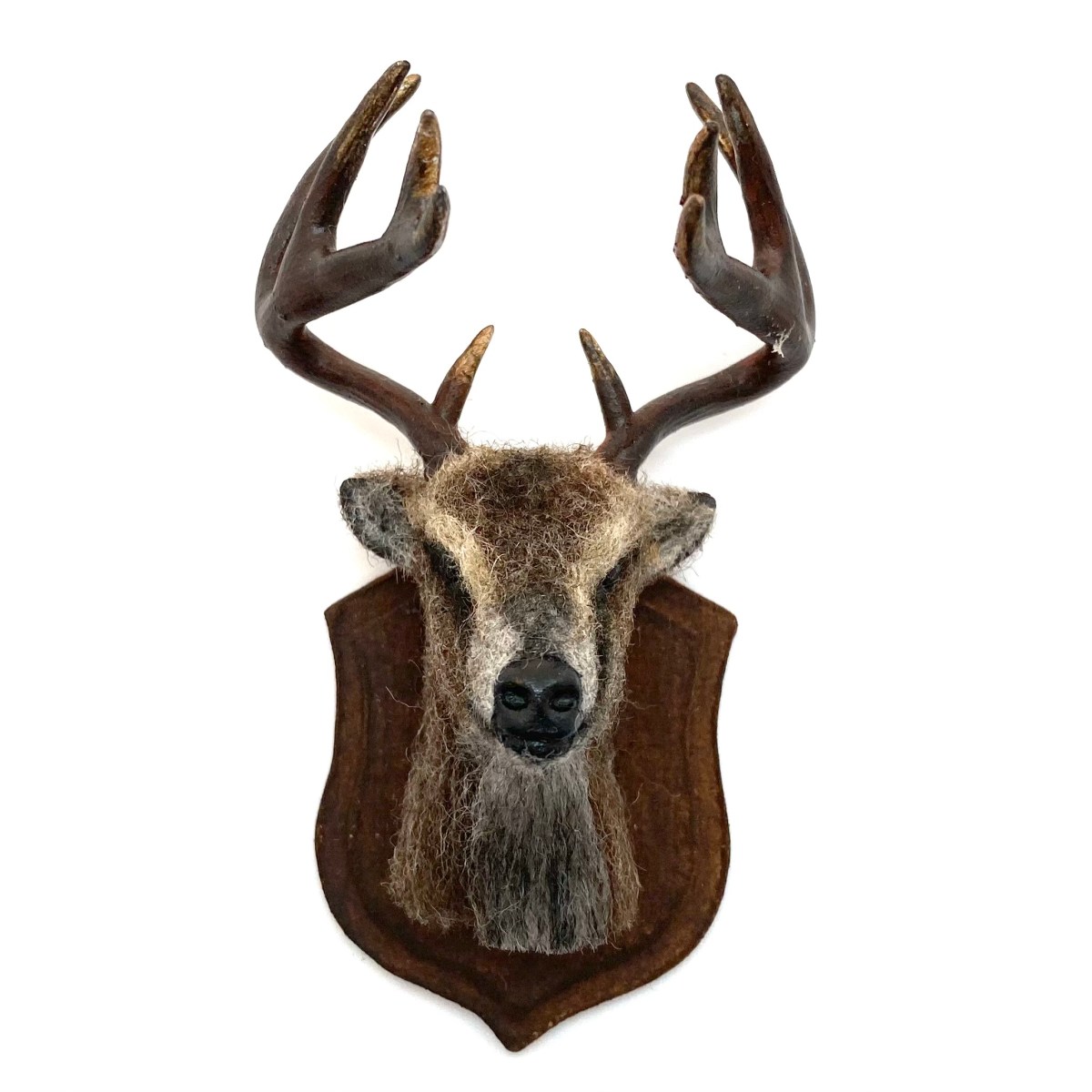 Mounted Stag Head