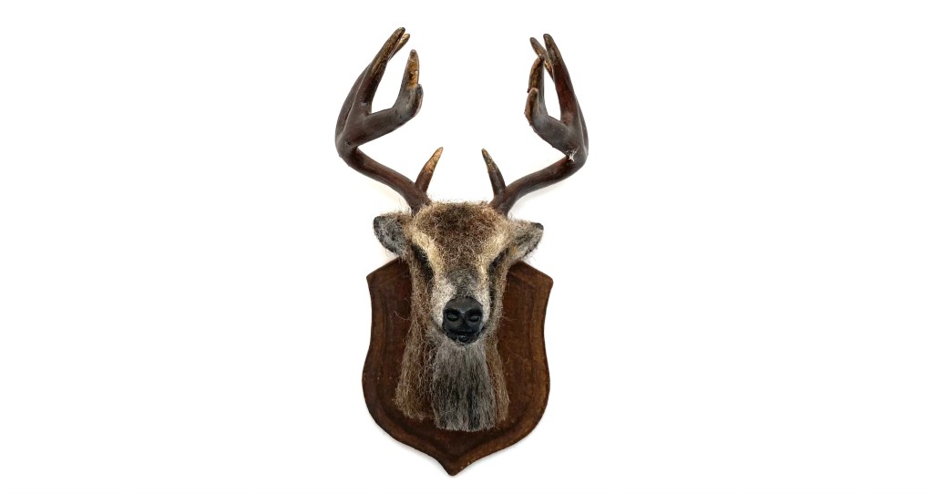 Mounted Stag Head
