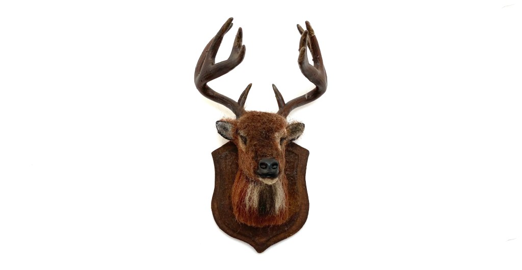 Mounted Stag Head