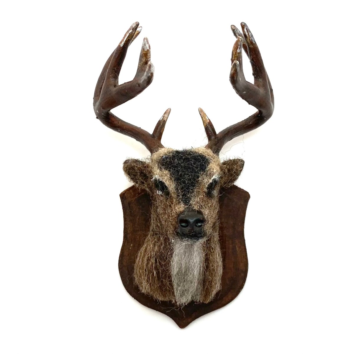 Mounted Stag Head