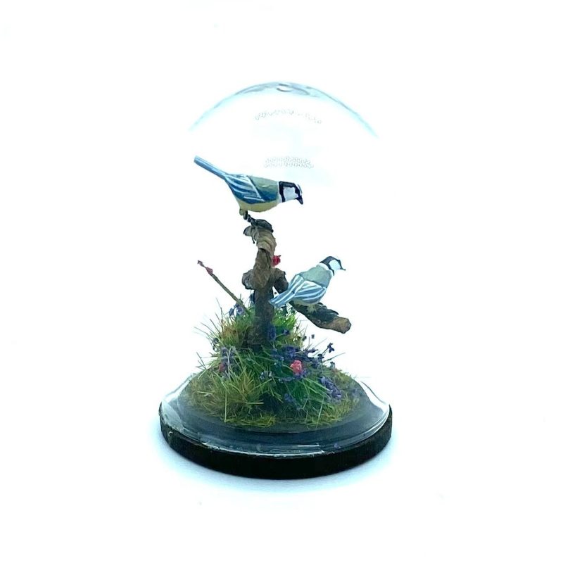 Blue Tits Under a Glass&nbsp;Dome