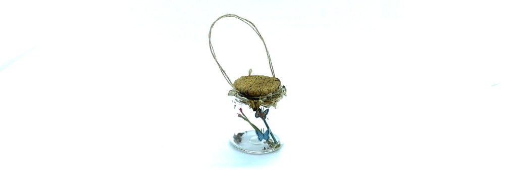 Butterfly Collecting Jar