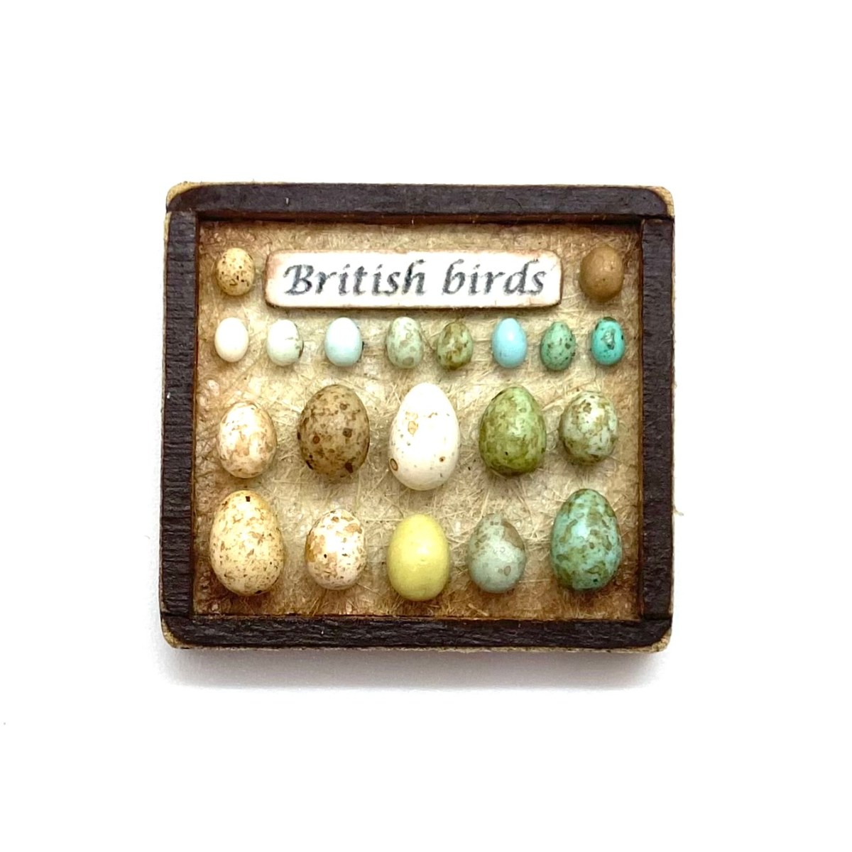 Birds’ Eggs in&nbsp;Frame