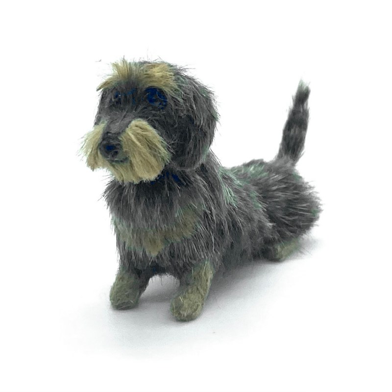 Horatio the Dachshund