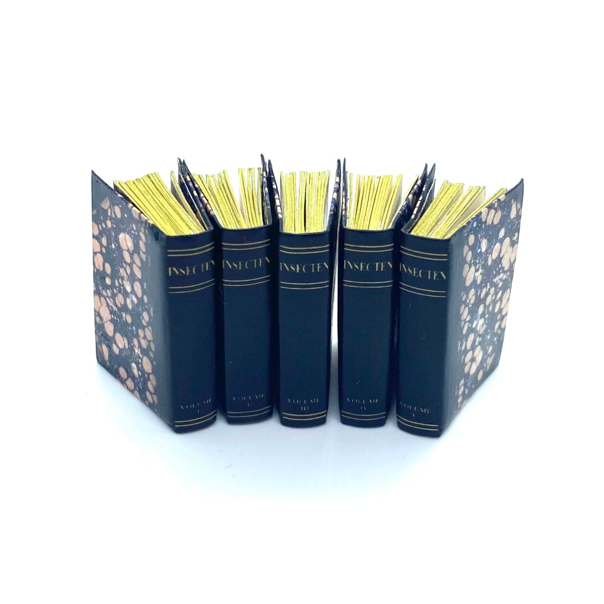 Insecten by Maria Sybilla&nbsp;Merian