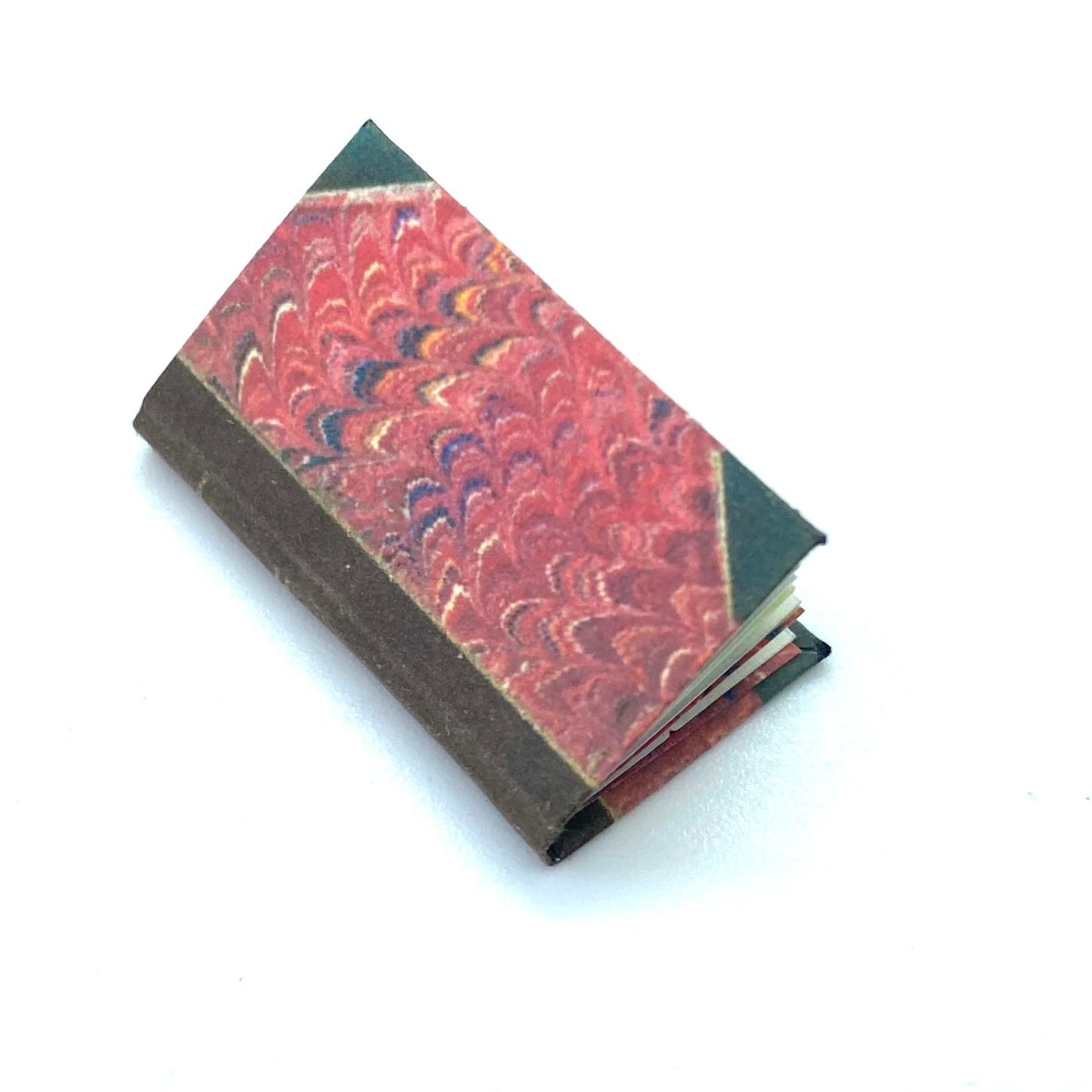 English Shells: Conchology