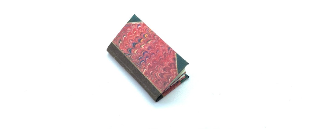 English Shells: Conchology