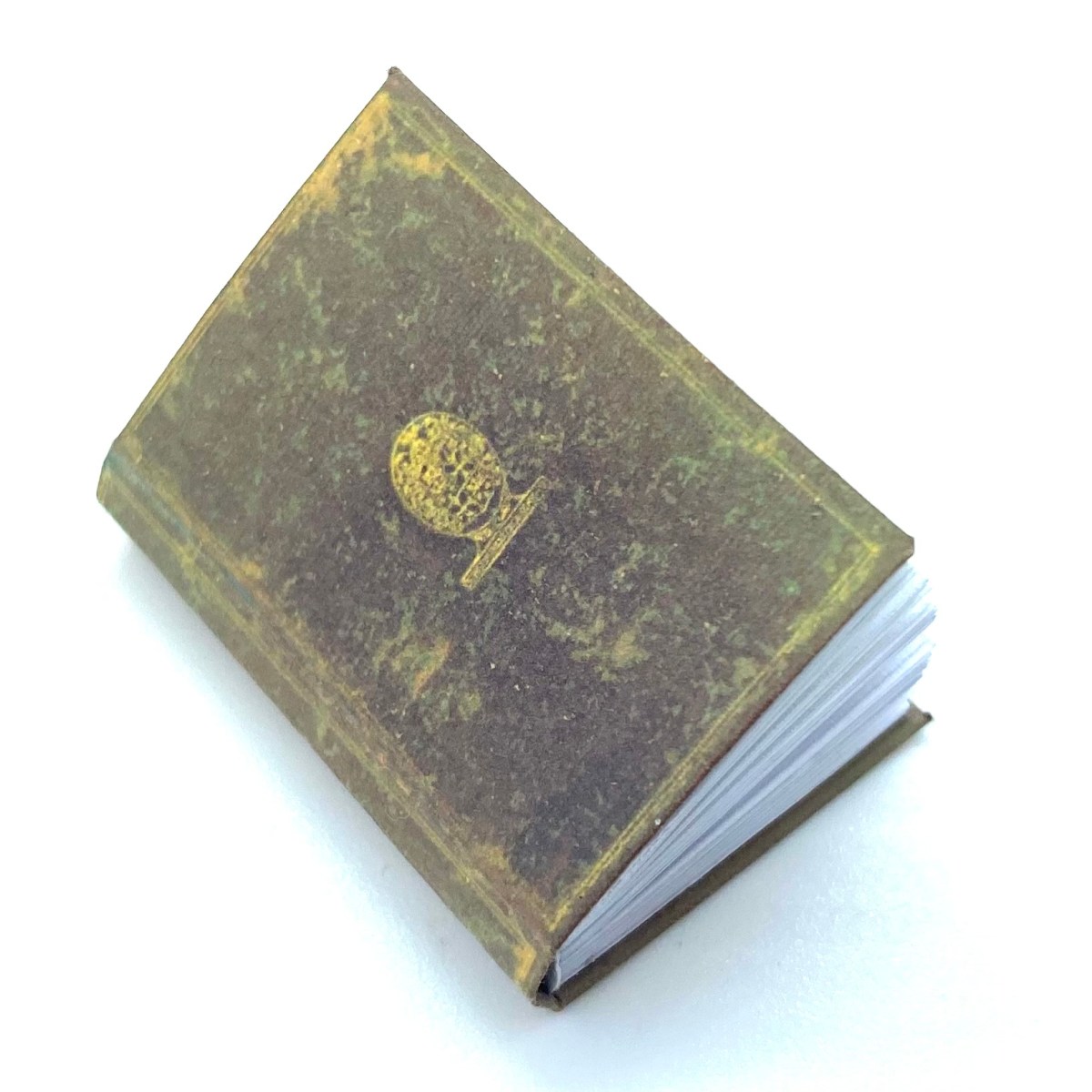 Noble Families of&nbsp;Pisa