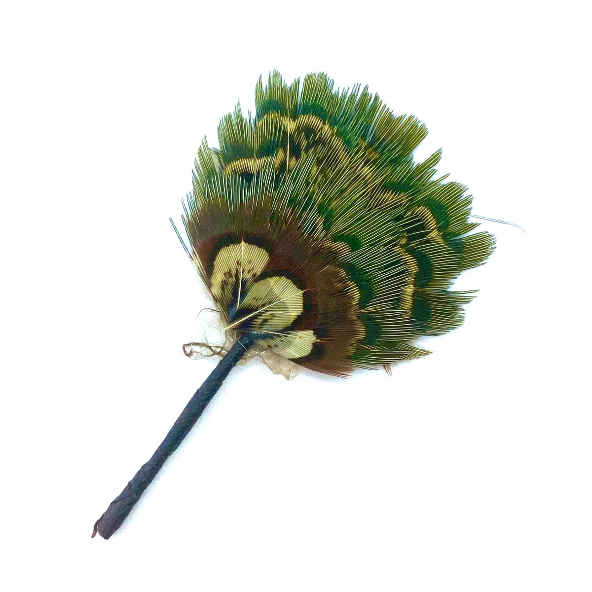 Peacock Feather Fan