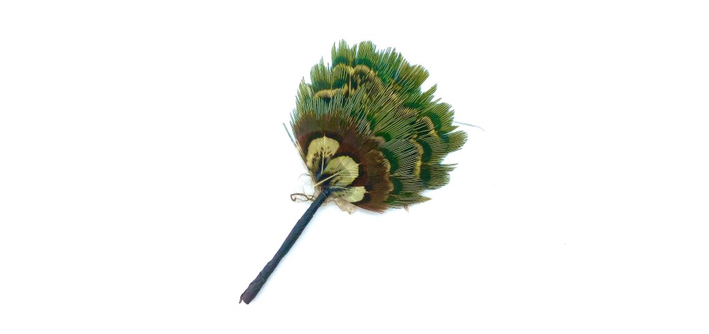 Peacock Feather Fan