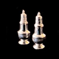 Silver Salt and Pepper&nbsp;Shakers